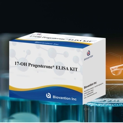 کیت آزمایش ELISA سری حیوانات FMDV NSP Ab تست تست تست تست تست تست تست تست تست تست تست تست تست تست تست تست تست تست تست تست تست تست تست تست تست تست تست تست تست تست تست تست تست تست تست تست تست تست تست تست تست تست تست تست تست تست تست تست تست تست تست تست تست تست تست تست تست تست تست تست تست تست تست تست تست تست تست تست تست تست تست تست تست تست تست تست تست تست تست تست تست تست تست تست تست تست تست تست تست تست تست تست تست تست تست تست تست تست تست تست تست تست تست تست تست تست تست تست تست تست تست تست تست تست تست