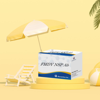 کیت آزمایش ELISA سری حیوانات FMDV NSP Ab تست تست تست تست تست تست تست تست تست تست تست تست تست تست تست تست تست تست تست تست تست تست تست تست تست تست تست تست تست تست تست تست تست تست تست تست تست تست تست تست تست تست تست تست تست تست تست تست تست تست تست تست تست تست تست تست تست تست تست تست تست تست تست تست تست تست تست تست تست تست تست تست تست تست تست تست تست تست تست تست تست تست تست تست تست تست تست تست تست تست تست تست تست تست تست تست تست تست تست تست تست تست تست تست تست تست تست تست تست تست تست تست تست تست تست