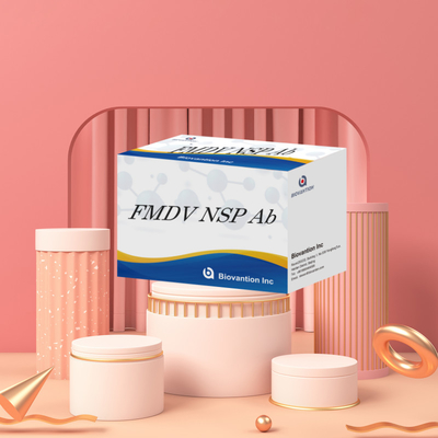کیت آزمایش ELISA سری حیوانات FMDV NSP Ab تست تست تست تست تست تست تست تست تست تست تست تست تست تست تست تست تست تست تست تست تست تست تست تست تست تست تست تست تست تست تست تست تست تست تست تست تست تست تست تست تست تست تست تست تست تست تست تست تست تست تست تست تست تست تست تست تست تست تست تست تست تست تست تست تست تست تست تست تست تست تست تست تست تست تست تست تست تست تست تست تست تست تست تست تست تست تست تست تست تست تست تست تست تست تست تست تست تست تست تست تست تست تست تست تست تست تست تست تست تست تست تست تست تست تست