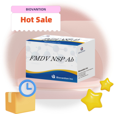 کیت آزمایش ELISA سری حیوانات FMDV NSP Ab تست تست تست تست تست تست تست تست تست تست تست تست تست تست تست تست تست تست تست تست تست تست تست تست تست تست تست تست تست تست تست تست تست تست تست تست تست تست تست تست تست تست تست تست تست تست تست تست تست تست تست تست تست تست تست تست تست تست تست تست تست تست تست تست تست تست تست تست تست تست تست تست تست تست تست تست تست تست تست تست تست تست تست تست تست تست تست تست تست تست تست تست تست تست تست تست تست تست تست تست تست تست تست تست تست تست تست تست تست تست تست تست تست تست تست