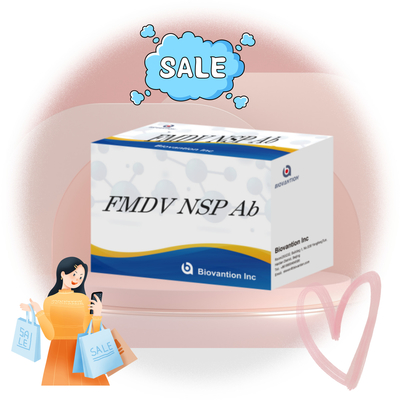 کیت آزمایش ELISA سری حیوانات FMDV NSP Ab تست تست تست تست تست تست تست تست تست تست تست تست تست تست تست تست تست تست تست تست تست تست تست تست تست تست تست تست تست تست تست تست تست تست تست تست تست تست تست تست تست تست تست تست تست تست تست تست تست تست تست تست تست تست تست تست تست تست تست تست تست تست تست تست تست تست تست تست تست تست تست تست تست تست تست تست تست تست تست تست تست تست تست تست تست تست تست تست تست تست تست تست تست تست تست تست تست تست تست تست تست تست تست تست تست تست تست تست تست تست تست تست تست تست تست