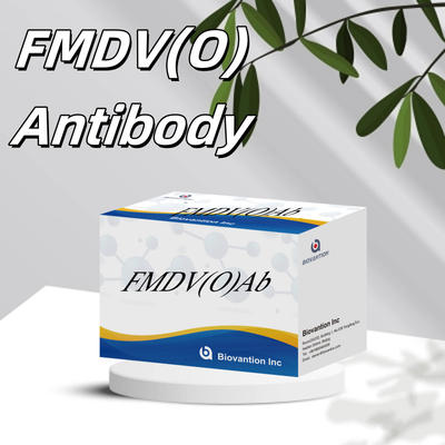 ویروس ففک و ماه گاو O کیت آزمایش سریع آنتی بادی FMD FMDV تشخیص بیماری مخرب دام