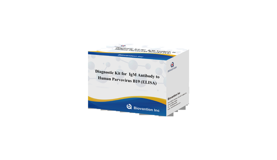 کیت تشخیصی برای پاروویروس B19 IgG ELISA کیت آزمایش آنتی بادی برای نمونه های سرم