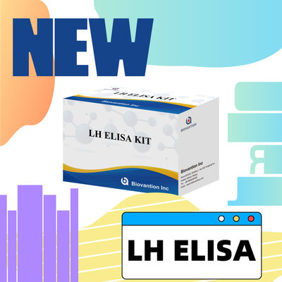 کیت آزمایش بیوانشن ELISA برای تشخیص هورمون لوتیزینگ انسانی