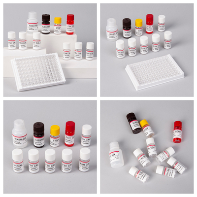 18 ماه طول عمر حساسیت FSH (مقدار) کیت ELISA برای تشخیص آنتی ژن ها