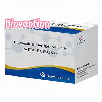 کیت آزمایش EBV-EA Elisa کیت تشخیصی برای آنتی بادی IgA با دقت بالا