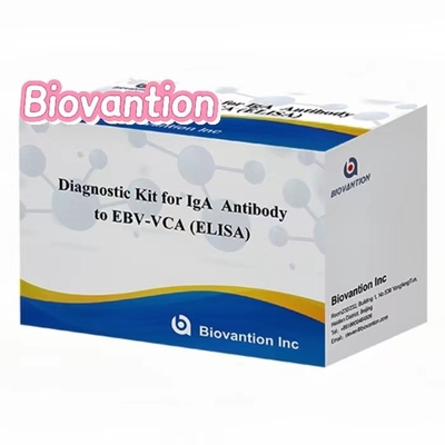کیت ELISA EBV VCA IgA با حساسیت بالا برای تشخیص پزشکی با استفاده از نمونه 50μl سرم