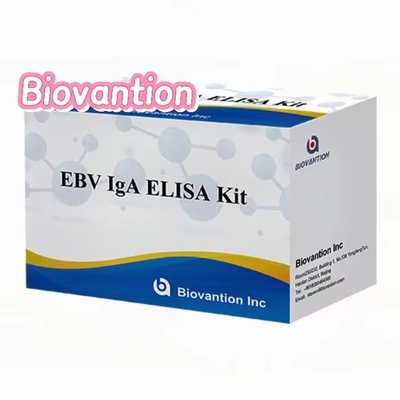 آنتی بادی IgA به EBNA1 کیت تست الیزای سیروم 50μL فرمت کیت نمونه