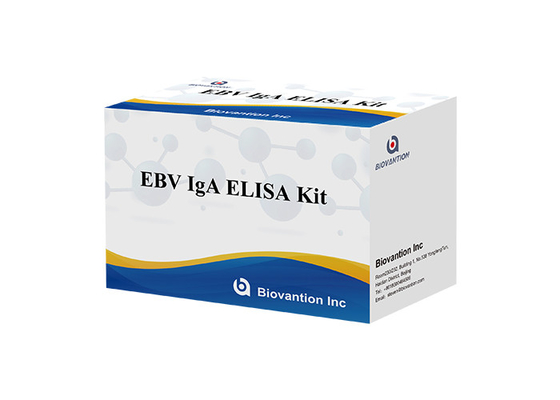 آنتی بادی IgA به EBNA1 کیت تست الیزای سیروم 50μL فرمت کیت نمونه