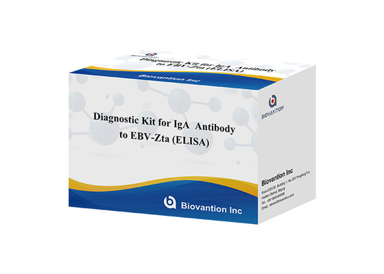کیت تشخیصی برای IgA آنتی بادی به EBV-Zta ELISA KIT Immunosorbent Assay Test Kit