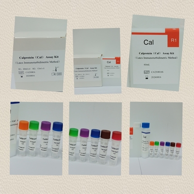 Biovantion IVD تعیین کمی Calprotectin در مدفوع