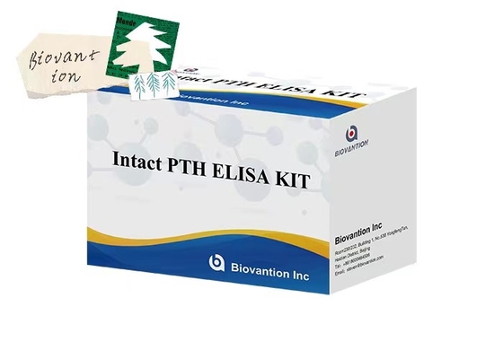 کیت آزمایش PTH 96 کامل برای اندازه گیری ELISA برای نمونه های پلاسما با زمان آزمایش 1 ساعت