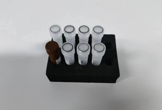 هپاتیت B ویروس HBV کمی PCR کیت حساسیت نمونه نوع کیت آزمایش با 96 آزمایش