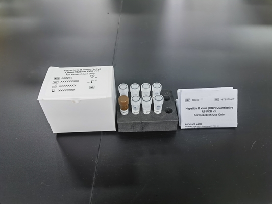 هپاتیت B ویروس HBV کمی PCR کیت حساسیت نمونه نوع کیت آزمایش با 96 آزمایش