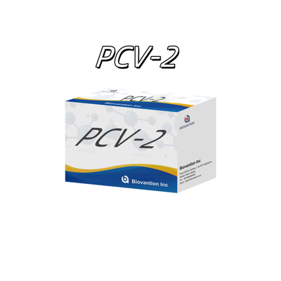 آزمایش WB/S/P PCV-2 ELISA برای آنتی بادی های حیوانی