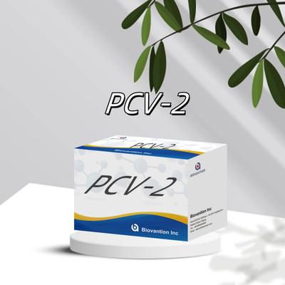 آزمایش WB/S/P PCV-2 ELISA برای آنتی بادی های حیوانی