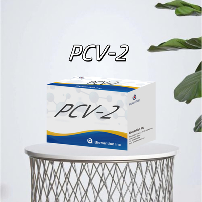آزمایش WB/S/P PCV-2 ELISA برای آنتی بادی های حیوانی
