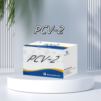 آزمایش WB/S/P PCV-2 ELISA برای آنتی بادی های حیوانی