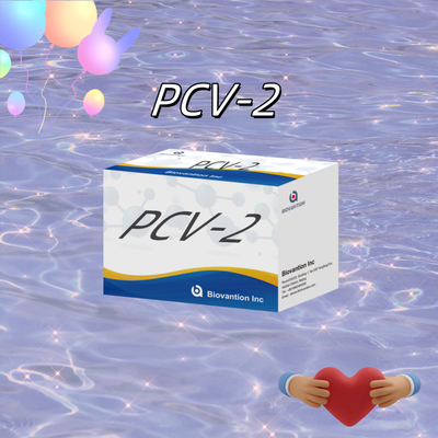 آزمایش WB/S/P PCV-2 ELISA برای آنتی بادی های حیوانی