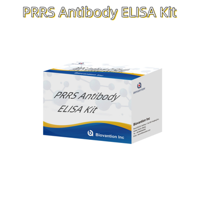 آزمایش ELISA برای حیوانات PRRSV آنتی بادی های PRRS خوک آنتی بادی های دامپزشکی