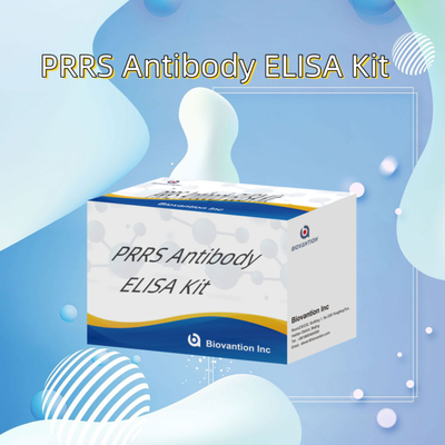 آزمایش ELISA برای حیوانات PRRSV آنتی بادی های PRRS خوک آنتی بادی های دامپزشکی