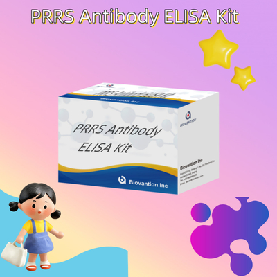 آزمایش ELISA برای حیوانات PRRSV آنتی بادی های PRRS خوک آنتی بادی های دامپزشکی