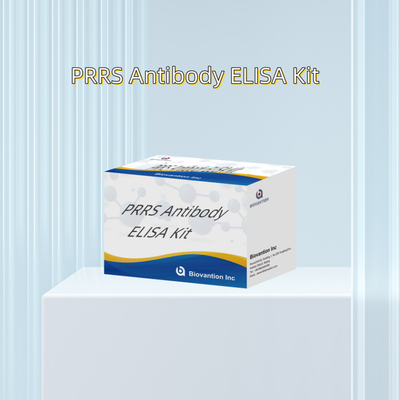 آزمایش ELISA برای حیوانات PRRSV آنتی بادی های PRRS خوک آنتی بادی های دامپزشکی
