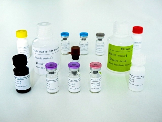 کیت تست پیشرفته TB IGRA Elisa برای تشخیص حساس و خاص آنتی ژن ها
