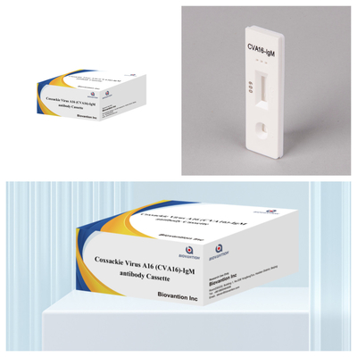 آزمایش سریع آنتی بادی ویروس کوکسکی A16 CVA16-IgM کاسه WB/S/P طلا کلائیدی