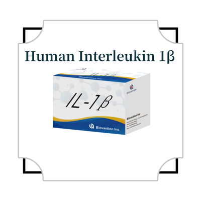 کیت ELISA حساس IL-1β برای استفاده در تحقیقات با حساسیت 95٪ و 6 ماه