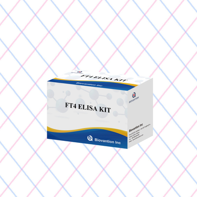کیت الیزای FT4 با حساسیت 95٪ واکنش دهنده آزمایش in vitro برای استفاده انسانی