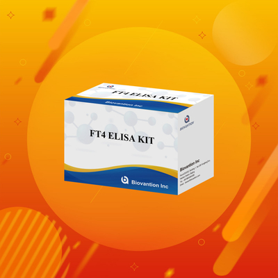 کیت الیزای FT4 با حساسیت 95٪ واکنش دهنده آزمایش in vitro برای استفاده انسانی