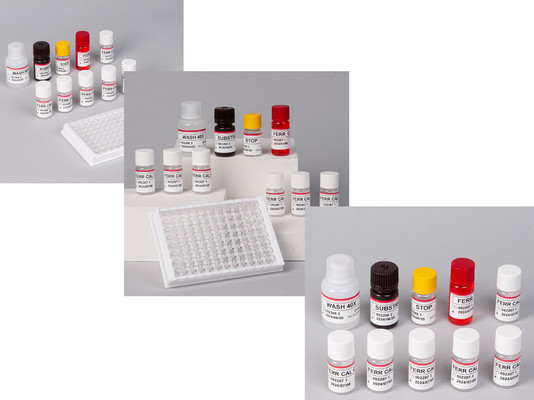 آزمایشگاه یا بیمارستان کیت آزمایش فرریتین انسانی FE ELISA با دقت بالا