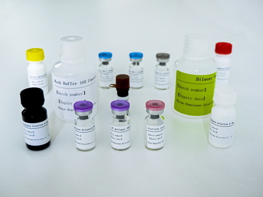 کیت تست آسان سل-IGRA ELISA با عمر طولانی و روش نگهداری 2C-8C