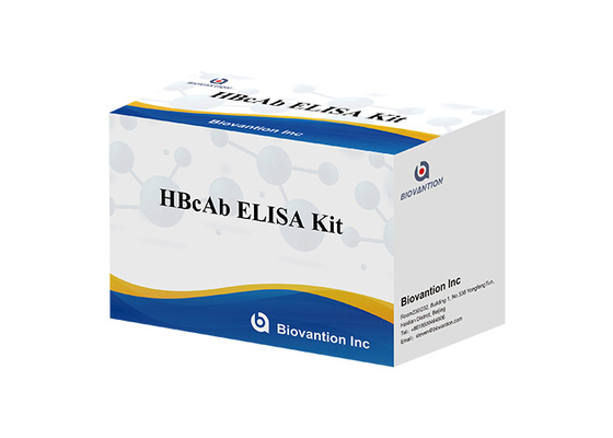 فروش داغ رژگان تشخیصی برای استفاده انسانی با 96 تست آنتی بادی HBcAb