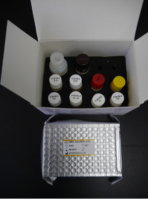 کیت تست هورمون ضد مولر AMH Elisa برای استفاده انسانی با پلاسمای سرم