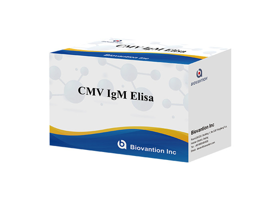 کیت آزمایش cMV IgM Elisa کیت تجزیه و تحلیل ایمونوسوربن مرتبط با آنزیم