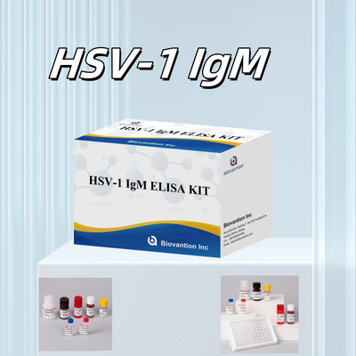 تشخیص پزشکی HSV-1 IgM کیت تست الیزا با 18 ماه دوام