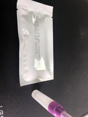 کیست تست سریع IgG/IgM سالمونلا S.Typhoid کیت تست تشخیصی آسان برای استفاده