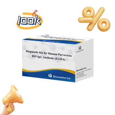فروش مستقیم کارخانه کیت B19 ELISA برای انسان کیت آزمایش آنتی بادی IgM Elisa با 96T