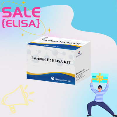 قیمت کارخانه کیت آزمایش E2 ELISA تشخیص در بیوترو تشخیص پزشکی دقت بالا