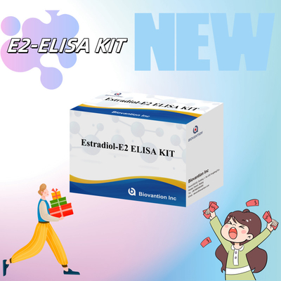 قیمت کارخانه کیت آزمایش E2 ELISA تشخیص در بیوترو تشخیص پزشکی دقت بالا
