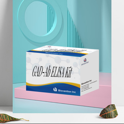آزمایش ELISA GAD Glutamic Acid Decarboxylase آنتی بادی برای تشخیص پزشکی برای انسان با آزمایش 96