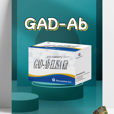 آزمایش ELISA GAD Glutamic Acid Decarboxylase آنتی بادی برای تشخیص پزشکی برای انسان با آزمایش 96