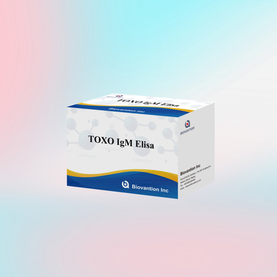 کیت تست TOXO IgM Elisa برای استفاده انسانی کیت تست واکنش دهنده تشخیصی با 96 کیت