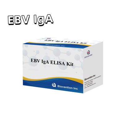 کیت آزمایش EBV HUMAN ELISA 2-8°C حساسیت کیت تشخیصی برای IgA آنتی بادی به EBV-EA
