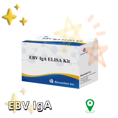 کیت آزمایش EBV HUMAN ELISA 2-8°C حساسیت کیت تشخیصی برای IgA آنتی بادی به EBV-EA