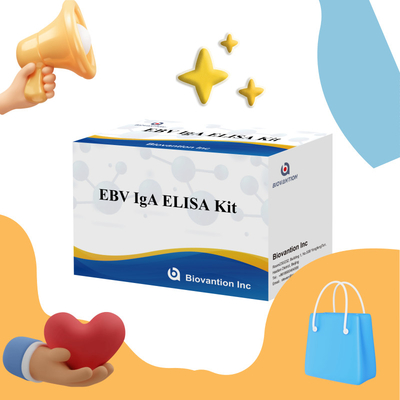 کیت آزمایش EBV HUMAN ELISA 2-8°C حساسیت کیت تشخیصی برای IgA آنتی بادی به EBV-EA