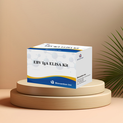 کیت آزمایش EBV HUMAN ELISA 2-8°C حساسیت کیت تشخیصی برای IgA آنتی بادی به EBV-EA