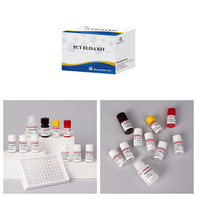 PCT با دقت بالا برای روش ELISA برای تشخیص واکنشگر انسان با آزمایش 96 برای بیمارستان